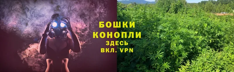 Каннабис THC 21%  дарнет шоп  Буйнакск 